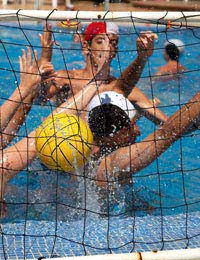 Physical Handball Rugby Swimming Muscle