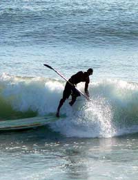 Surf Rage Surfing Sydney Manly Surfers