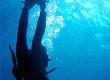 What is Drift Diving?