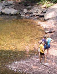 Swimming Pools Wild Swimming Hazards