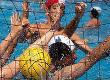 Water Polo: Competitive Team Sport